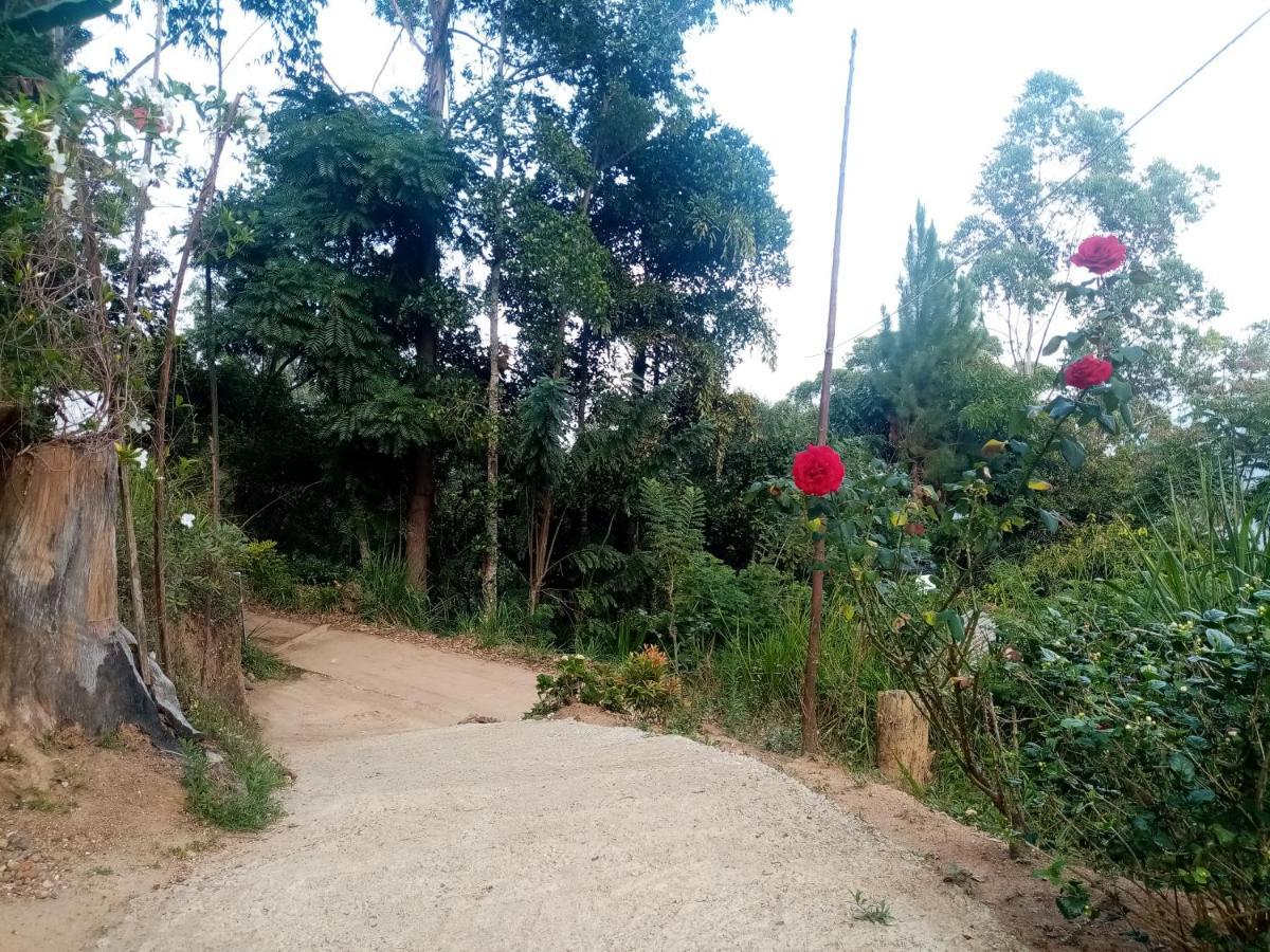 Apurvi Homestay Ella Ngoại thất bức ảnh